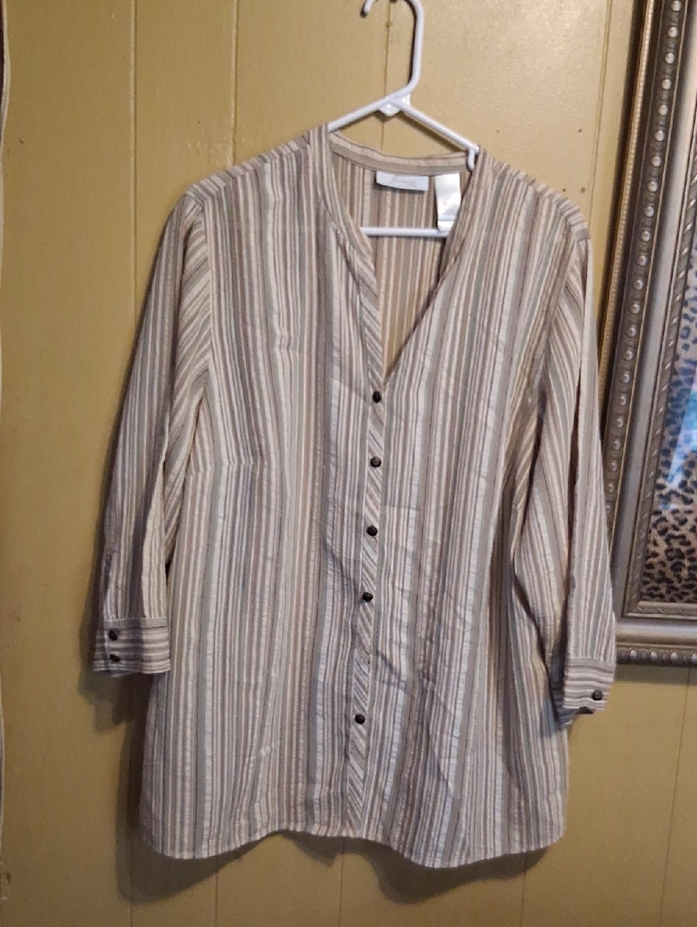 Striped Button-Front Tunic Top in Beige and White